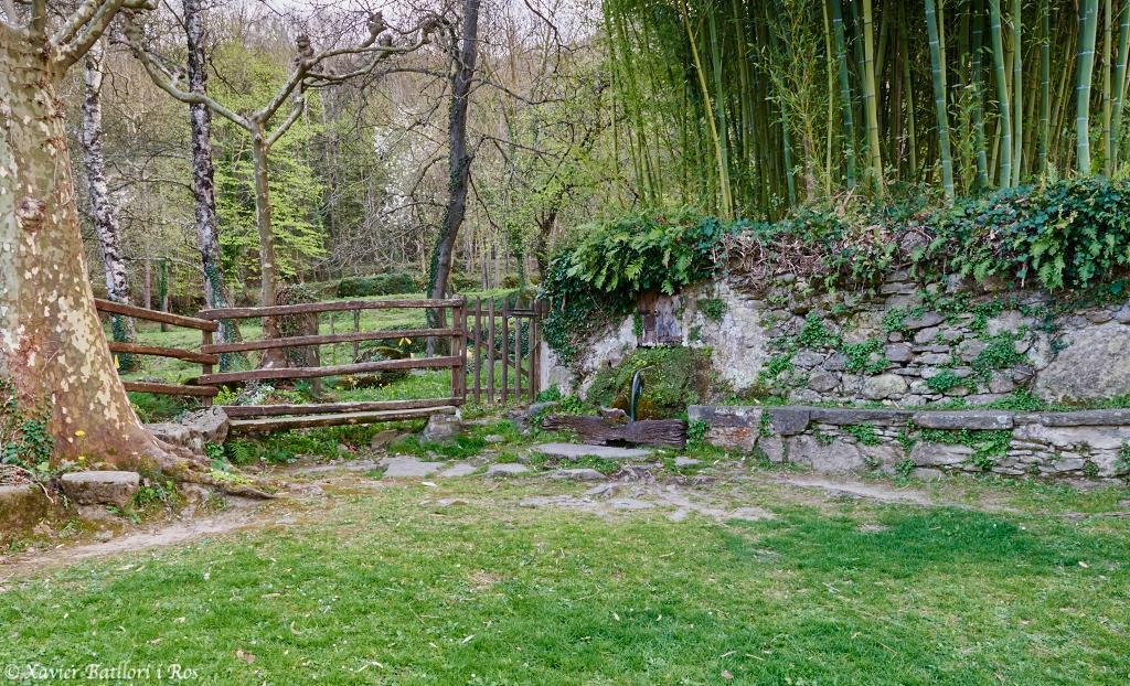 Apartamentos Fonda Finet Sant Felíu de Pallarols Exterior foto